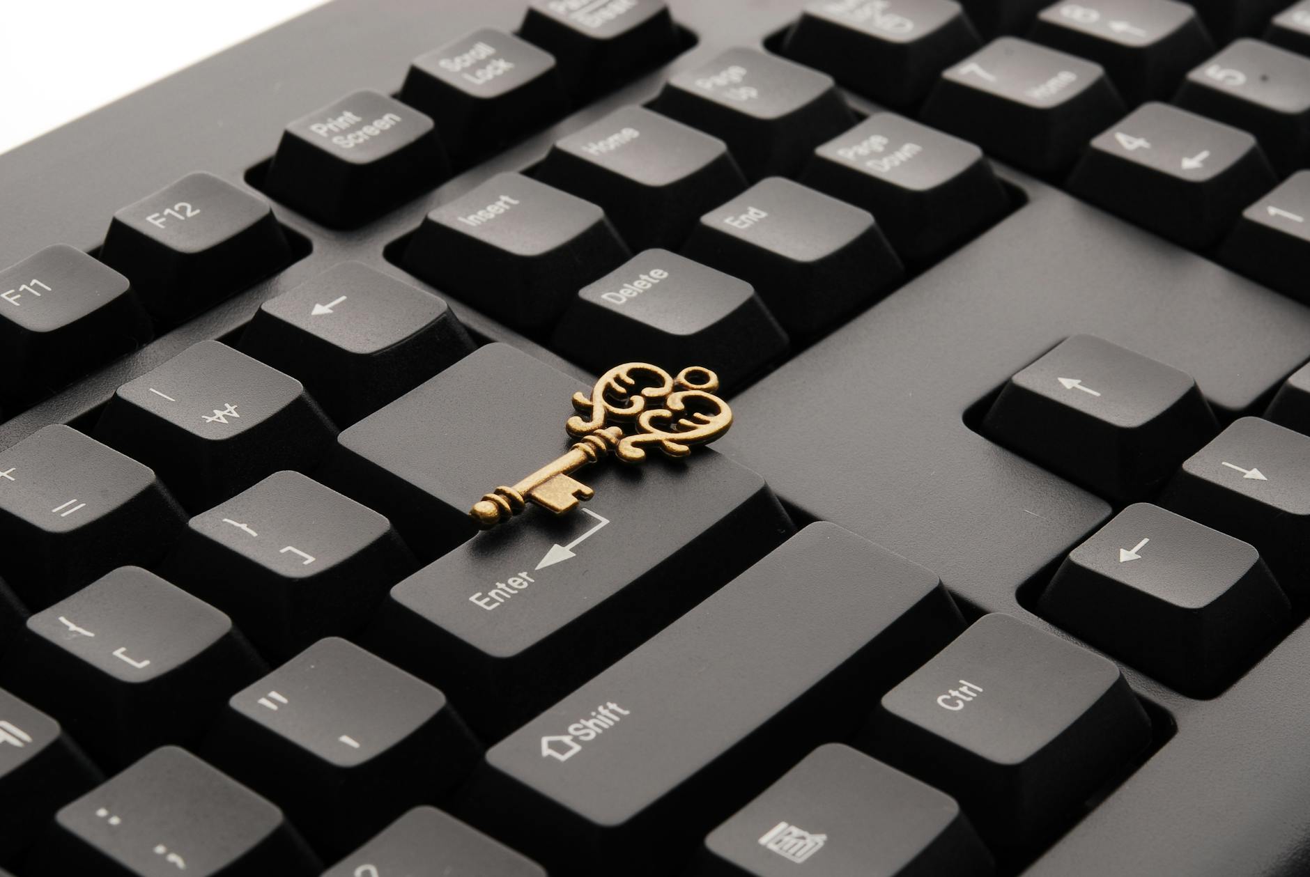 How to Generate a TheOrg API Key