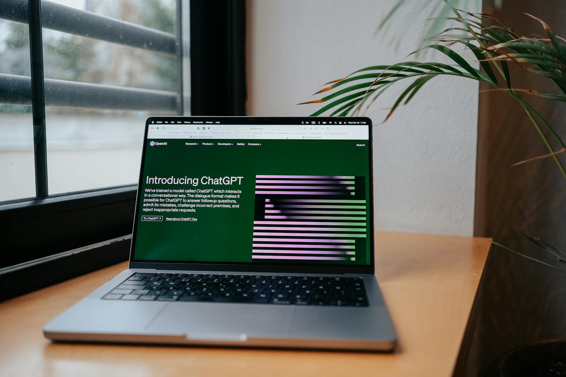 How to Generate a ChatGPT API Key